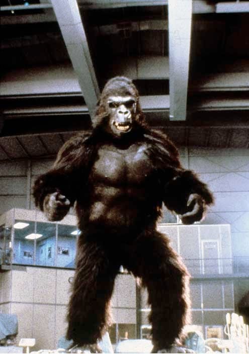 King Kong 2 : Foto John Guillermin
