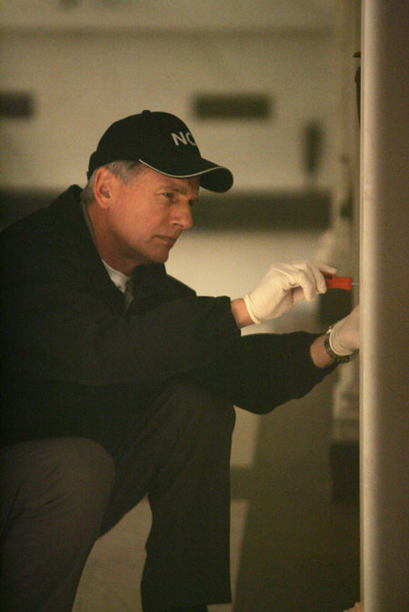 Foto Mark Harmon