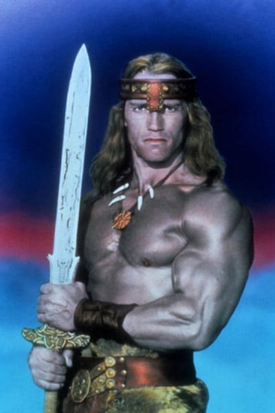 Conan, el destructor : Foto Arnold Schwarzenegger, Richard Fleischer
