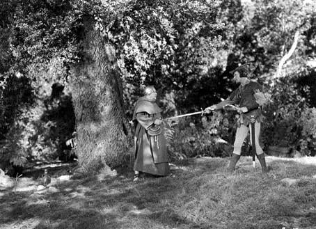 Robin de los Bosques : Foto Errol Flynn, Michael Curtiz