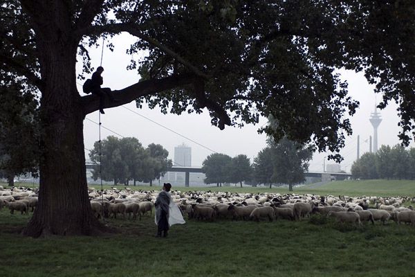 Palermo Shooting : Foto