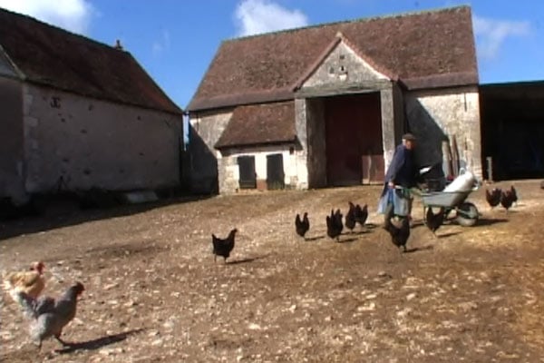 Yvette bon Dieu ! : Foto Sylvestre Chatenay