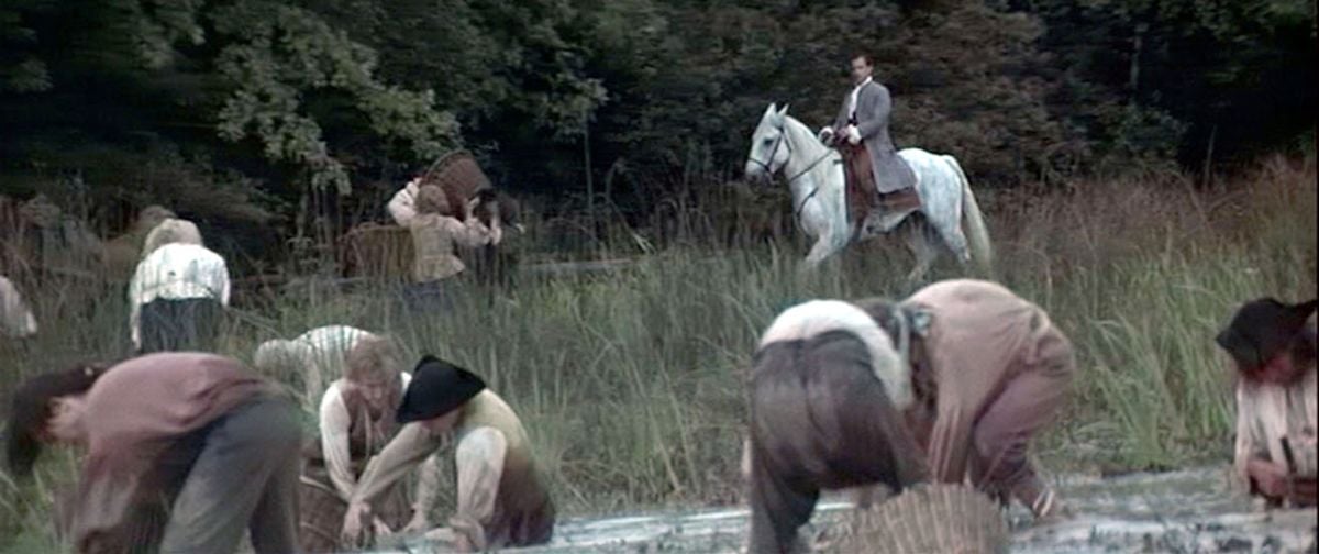 Ridicule. Nadie está a salvo : Foto