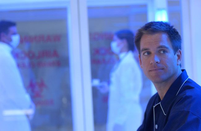 Foto Michael Weatherly