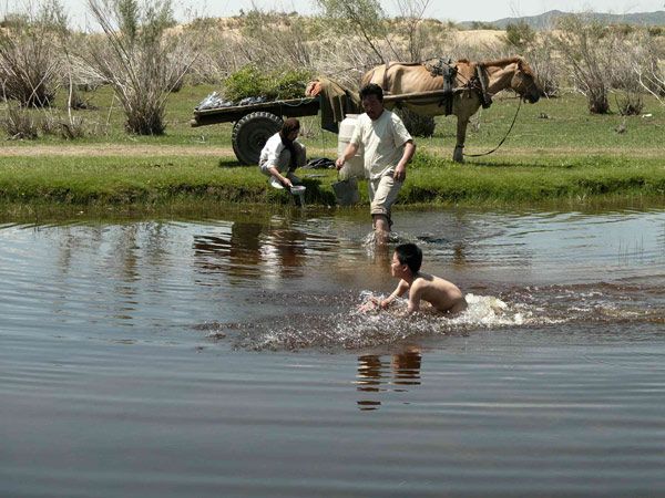 Sueños del desierto : Foto