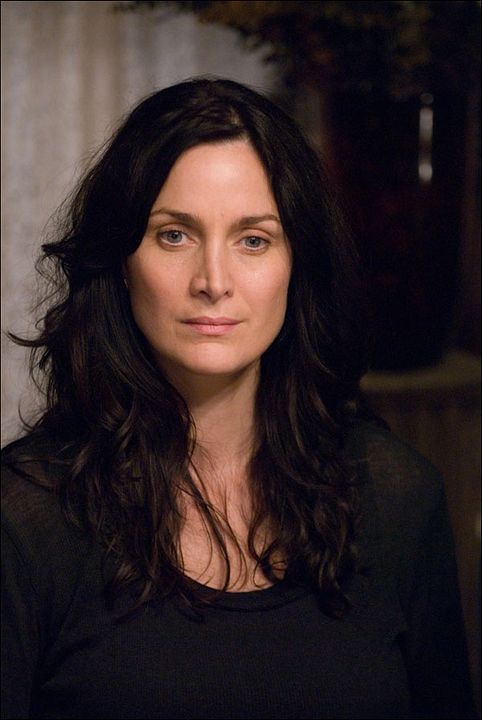 Luciérnagas en el jardín : Foto