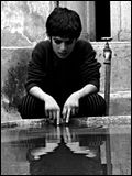 Cartel Hossein Yarmohammadi