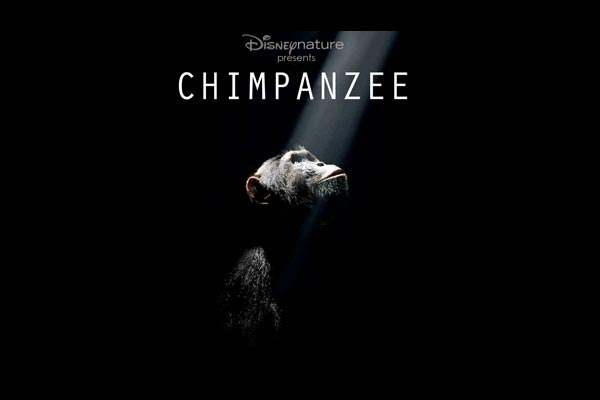 Chimpancés : Foto Mark Linfield, Alastair Fothergill