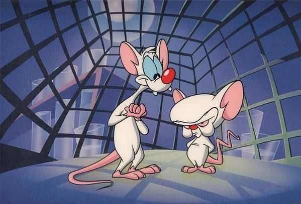 Pinky y Cerebro : Foto