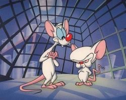 Pinky y Cerebro : Cartel