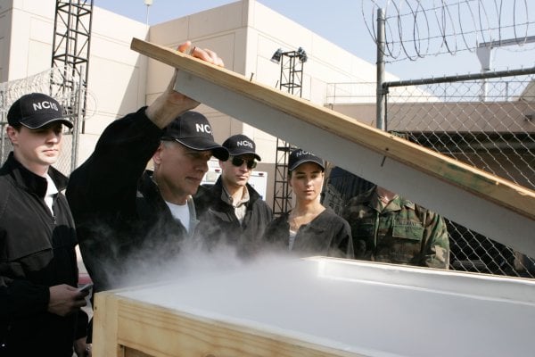 Foto Cote De Pablo, Sean Murray, Michael Weatherly, Mark Harmon