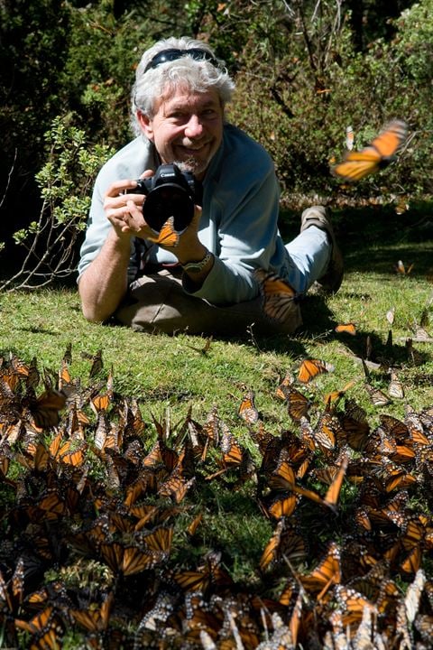 Disneynature: Wings of Life : Foto Louie Schwartzberg