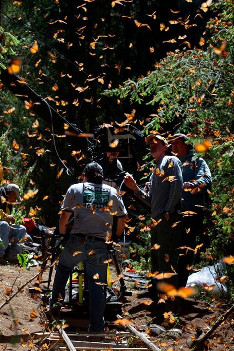 Disneynature: Wings of Life : Foto Louie Schwartzberg