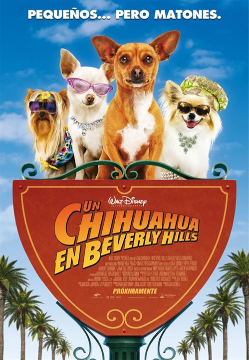 Un chihuahua en Beverly Hills : Cartel