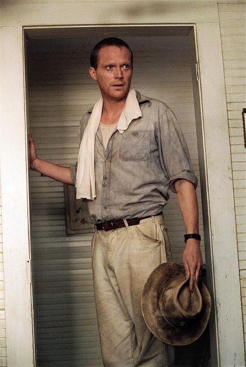 La vida secreta de las abejas : Foto