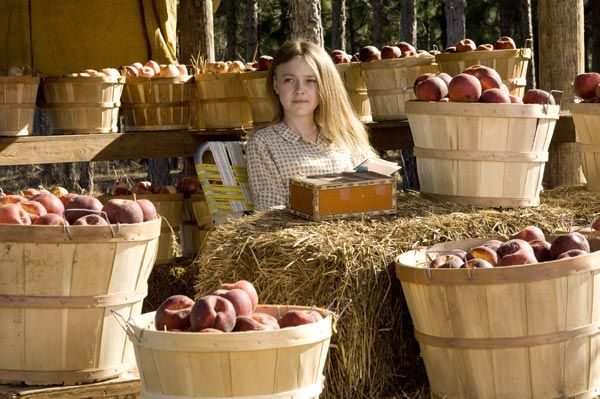 La vida secreta de las abejas : Foto