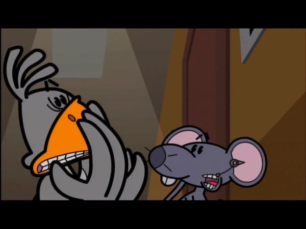 Animal channel : Foto