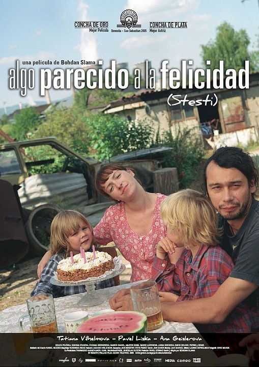 Algo parecido a la felicidad : Cartel