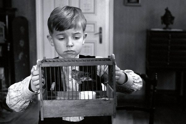 La cinta blanca : Foto