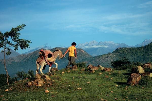 Los viajes del viento : Foto