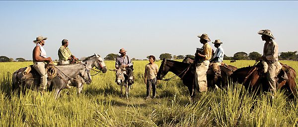 Los viajes del viento : Foto