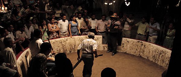 Los viajes del viento : Foto