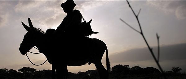 Los viajes del viento : Foto