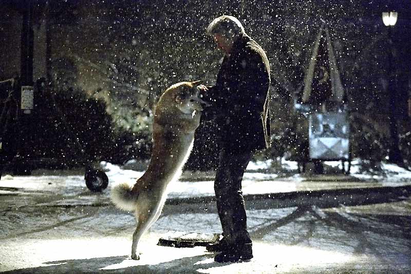 Siempre a tu lado. Hachiko : Foto