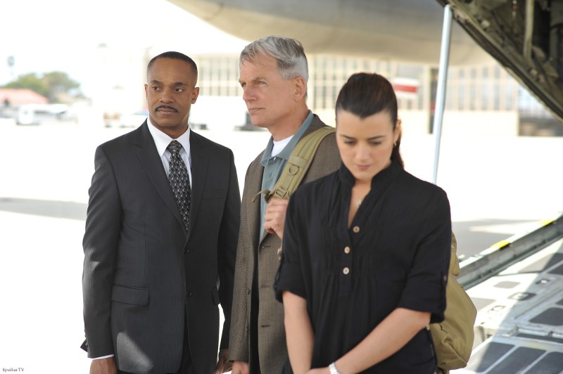 Foto Cote De Pablo, Mark Harmon, Rocky Carroll