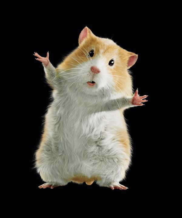 G-Force: Licencia para espiar : Foto