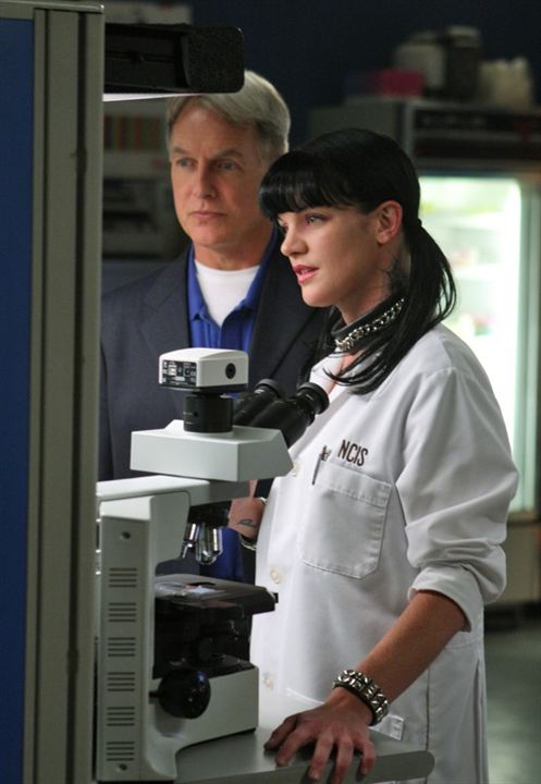 Foto Pauley Perrette, Mark Harmon