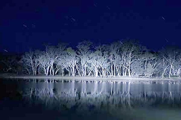 Lake Mungo : Foto Joel Anderson (II)