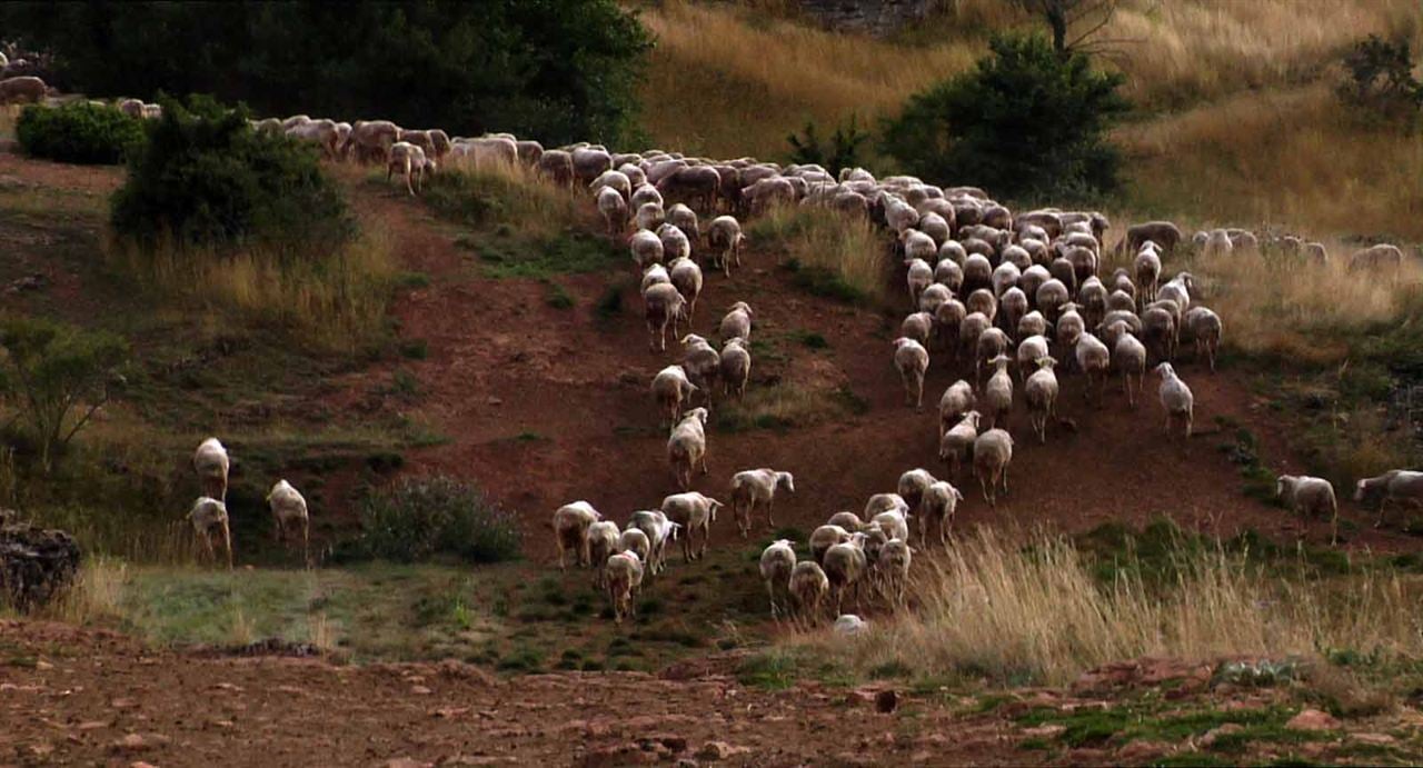 Foto Dominique Marchais