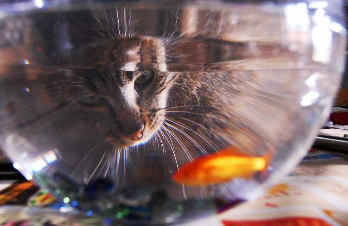 Foto Dominique Garing, Frédéric Goupil