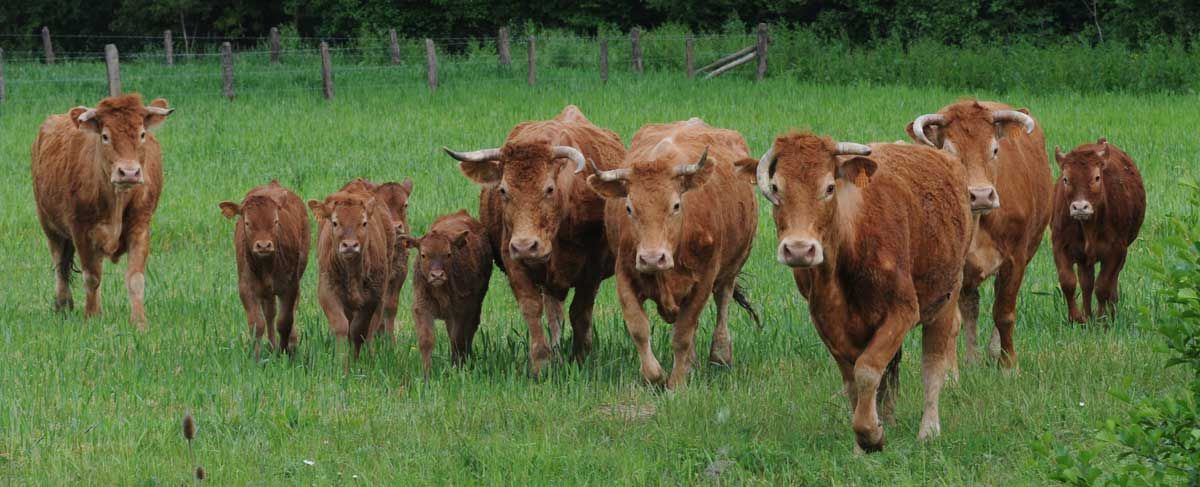 Foto Dominique Garing, Frédéric Goupil