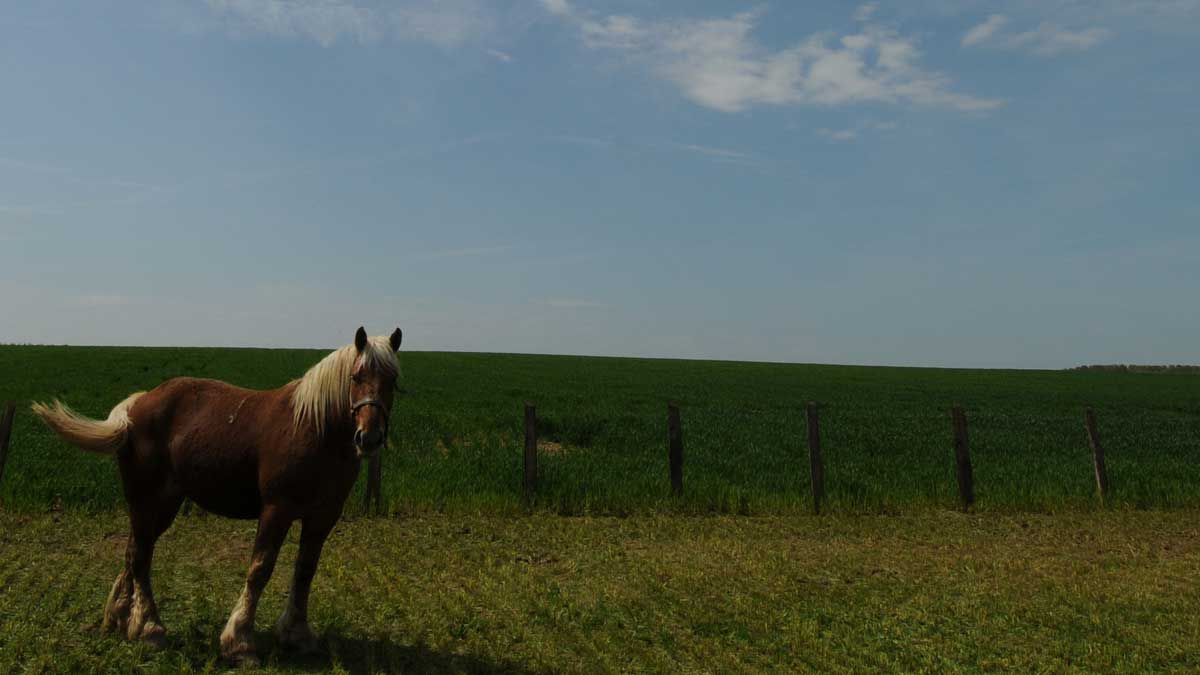 Foto Dominique Garing, Frédéric Goupil