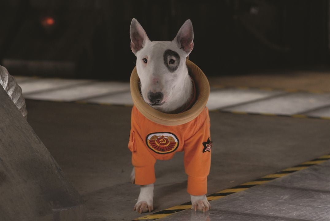 Space Buddies: Cachorros en el espacio : Foto