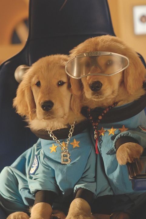 Space Buddies: Cachorros en el espacio : Foto