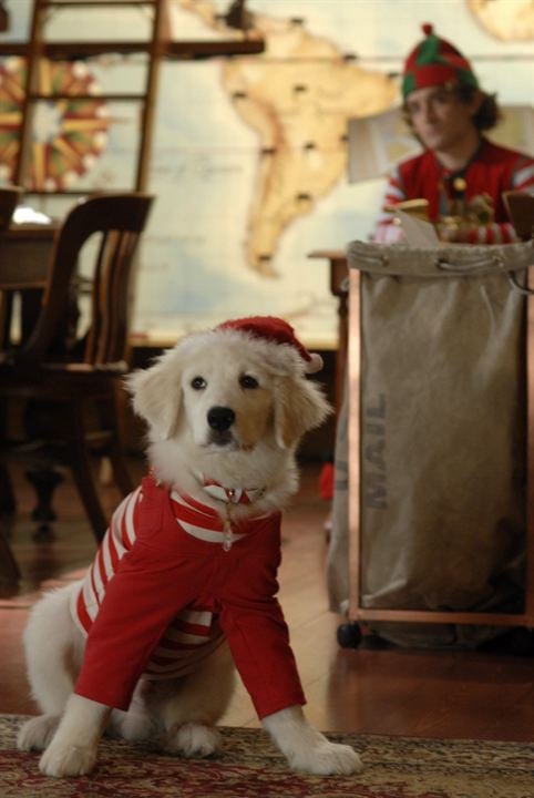 Navidad con los Buddies: En busca de Santa Can : Foto