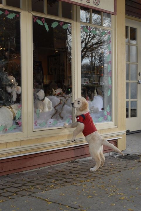 Navidad con los Buddies: En busca de Santa Can : Foto