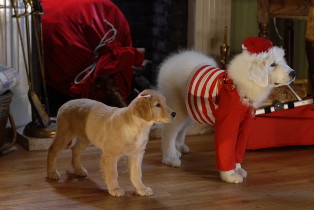 Navidad con los Buddies: En busca de Santa Can : Foto