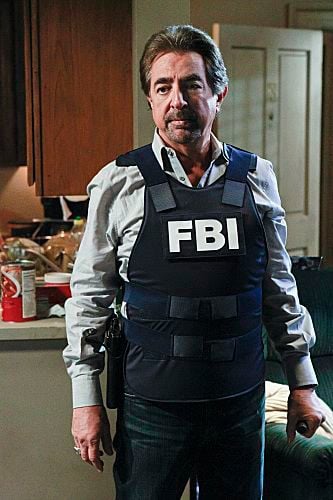 Mentes criminales : Foto Joe Mantegna
