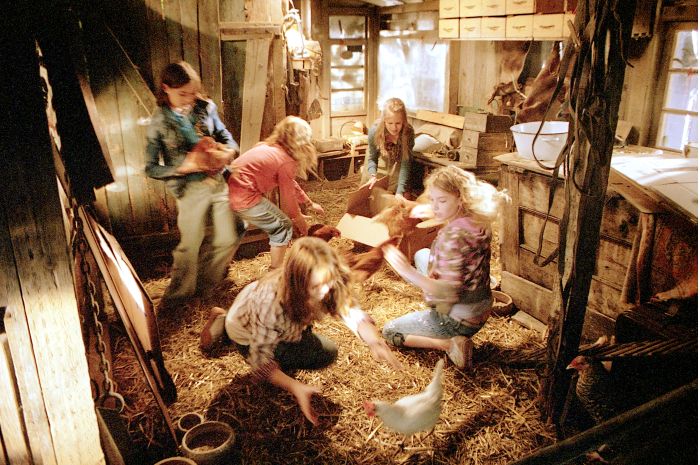 Die wilden Hühner : Foto