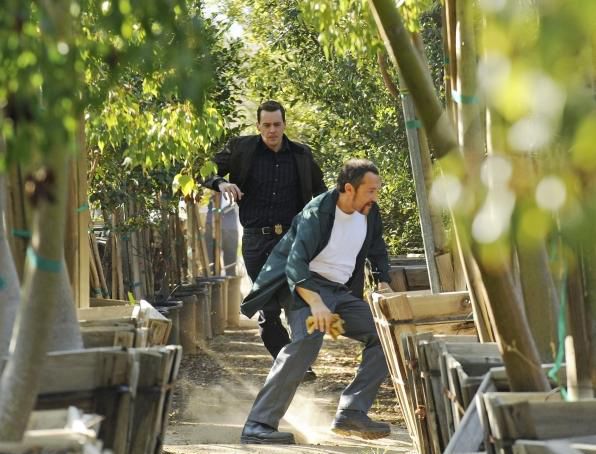 NAVY: Investigación criminal : Foto Sean Murray