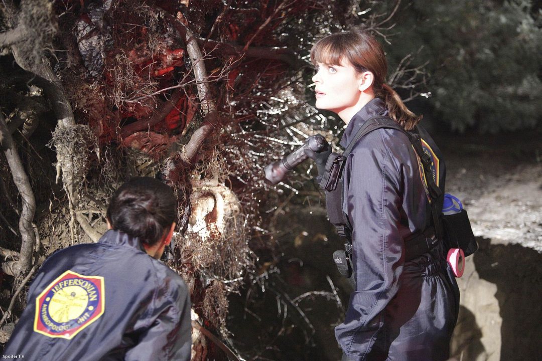 Bones : Foto Tamara Taylor, Emily Deschanel