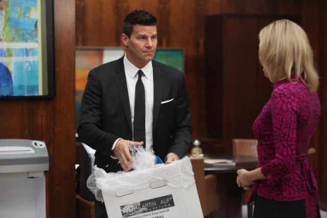 Bones : Foto David Boreanaz