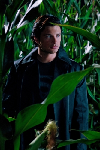 Foto Tom Welling