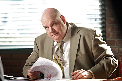 El Mentalista : Foto Pruitt Taylor Vince