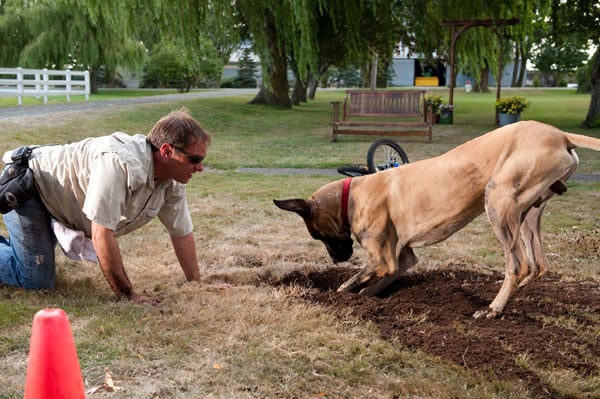 Marmaduke : Foto