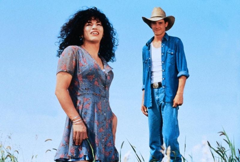 A Wong Foo, ¡Gracias por todo, Julie Newmar! : Foto